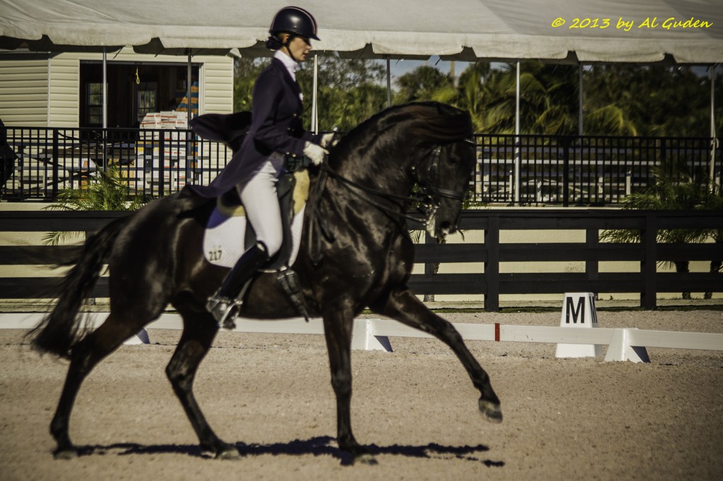 Roffman Rides to High Points at Florida Dressage Classic CDI Show World