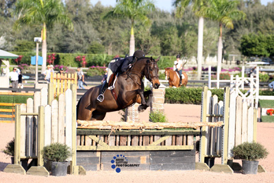 Tracy Fenney and MTM Centano Win $35,000 Double H Farm Jumper