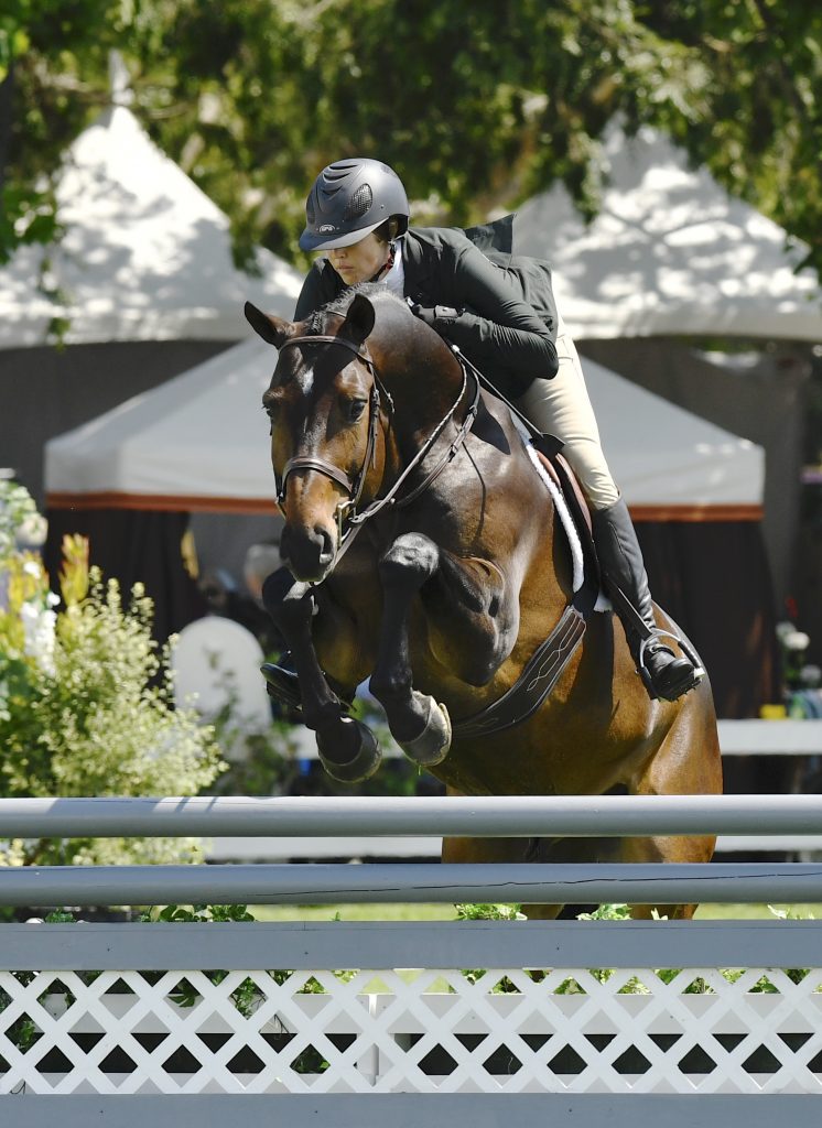 Lindsay Maxwell Equestrian, Teamwork Makes the Dream Work - Show World