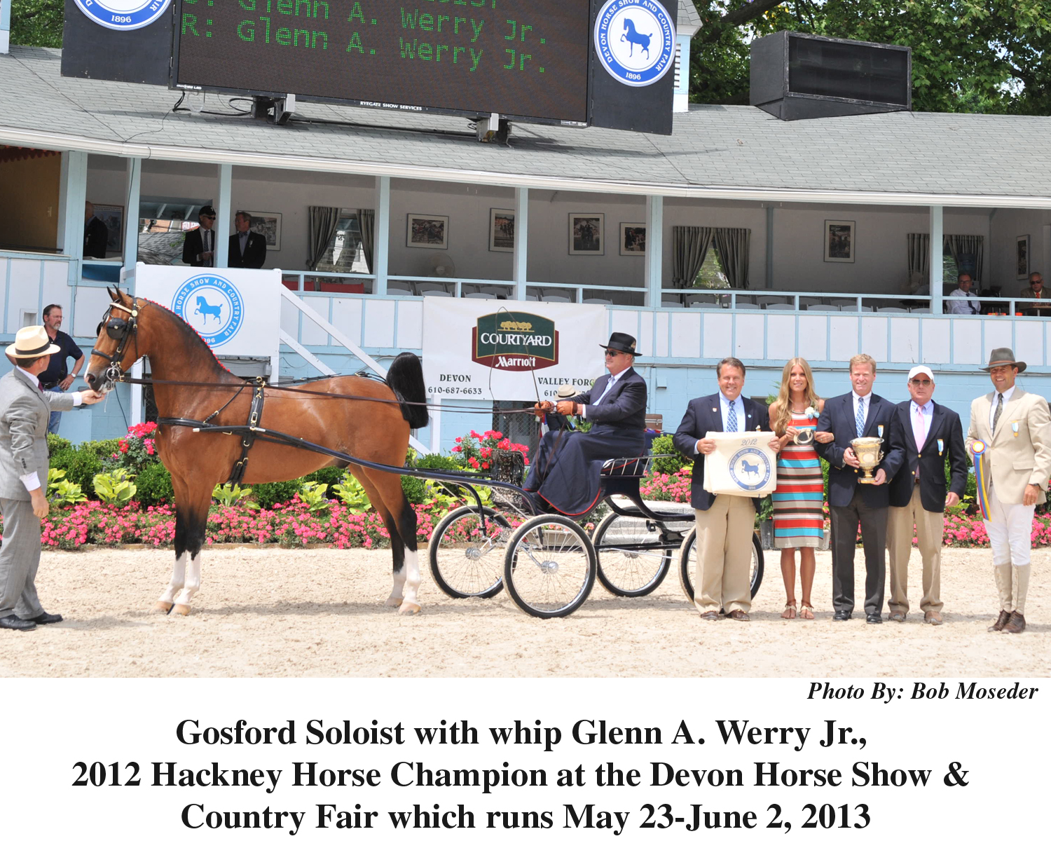 Saddlebred Prize Money Increasedat Devon Horse Show and Country Fair