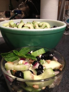 The finished Cucumber Blueberry Salad just waiting to accompany your next dinner, or during labor day festivities.