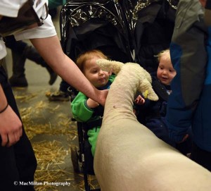 17-Twins in a stroller were greeted by a friendly lamb.