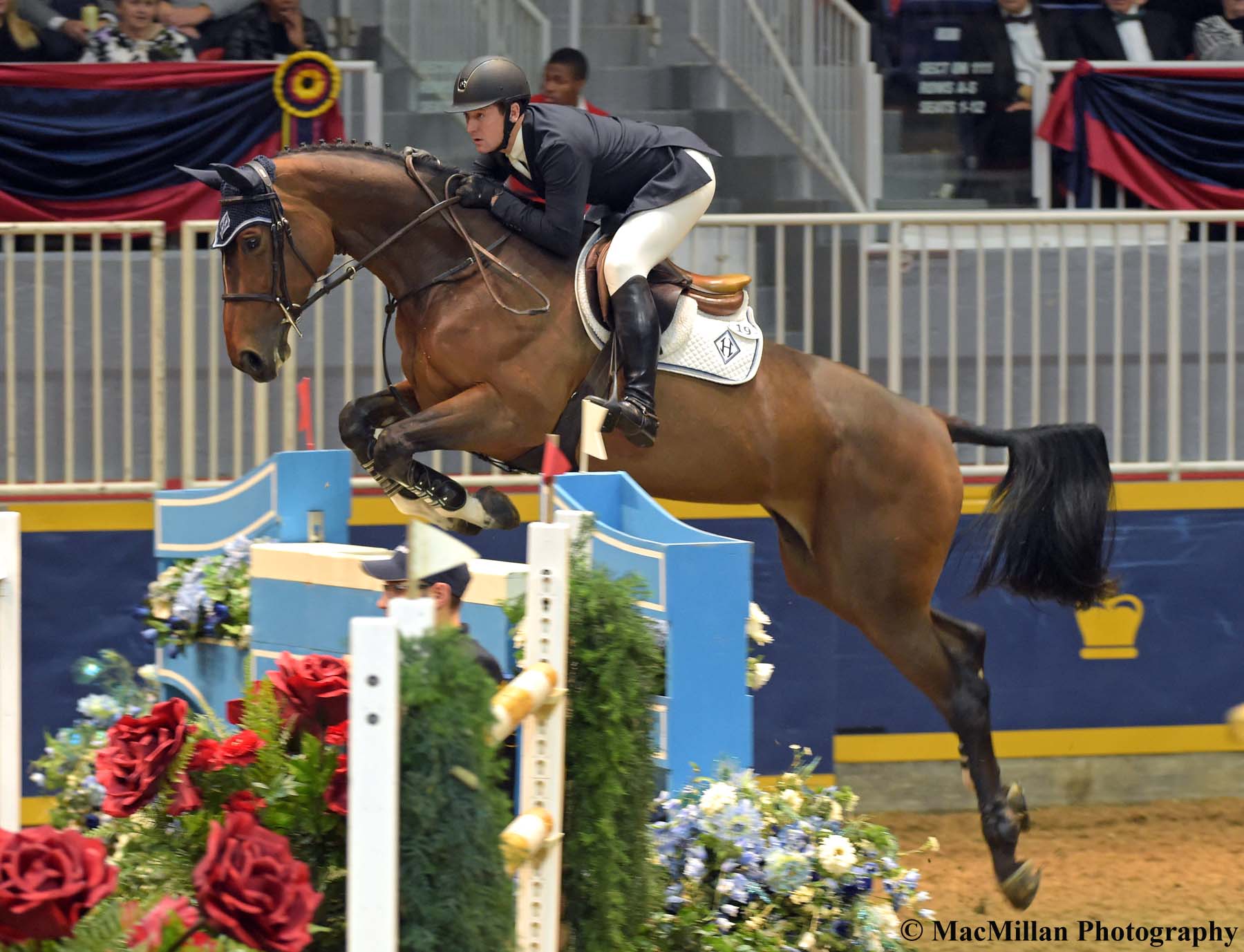 Photo 1 – International jumper star McLain Ward, Brewster, New York, lists the Royal Horse Show as one of his favorite events all year. He was named the Best International Jumper Rider at the 2015 Royal after winning four classes including the World Cup class with HH Azur, owned by Double H Farms in Florida.Photo by Kim MacMillan/MacMillan Photography