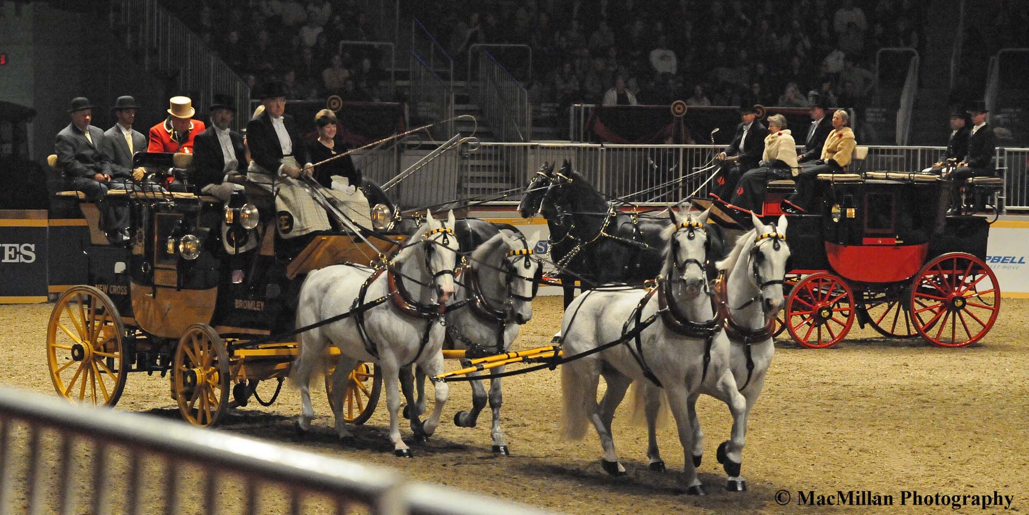 Photo 29 – The Royal Horse Show coaching classes sponsored by Green Meadow are popular with the fans. The antique coaches, such as this black and yellow road coach used in Great Britain, pulled by a team of four horses are a breathtaking sight. Photo by Kim MacMillan/MacMillan Photography