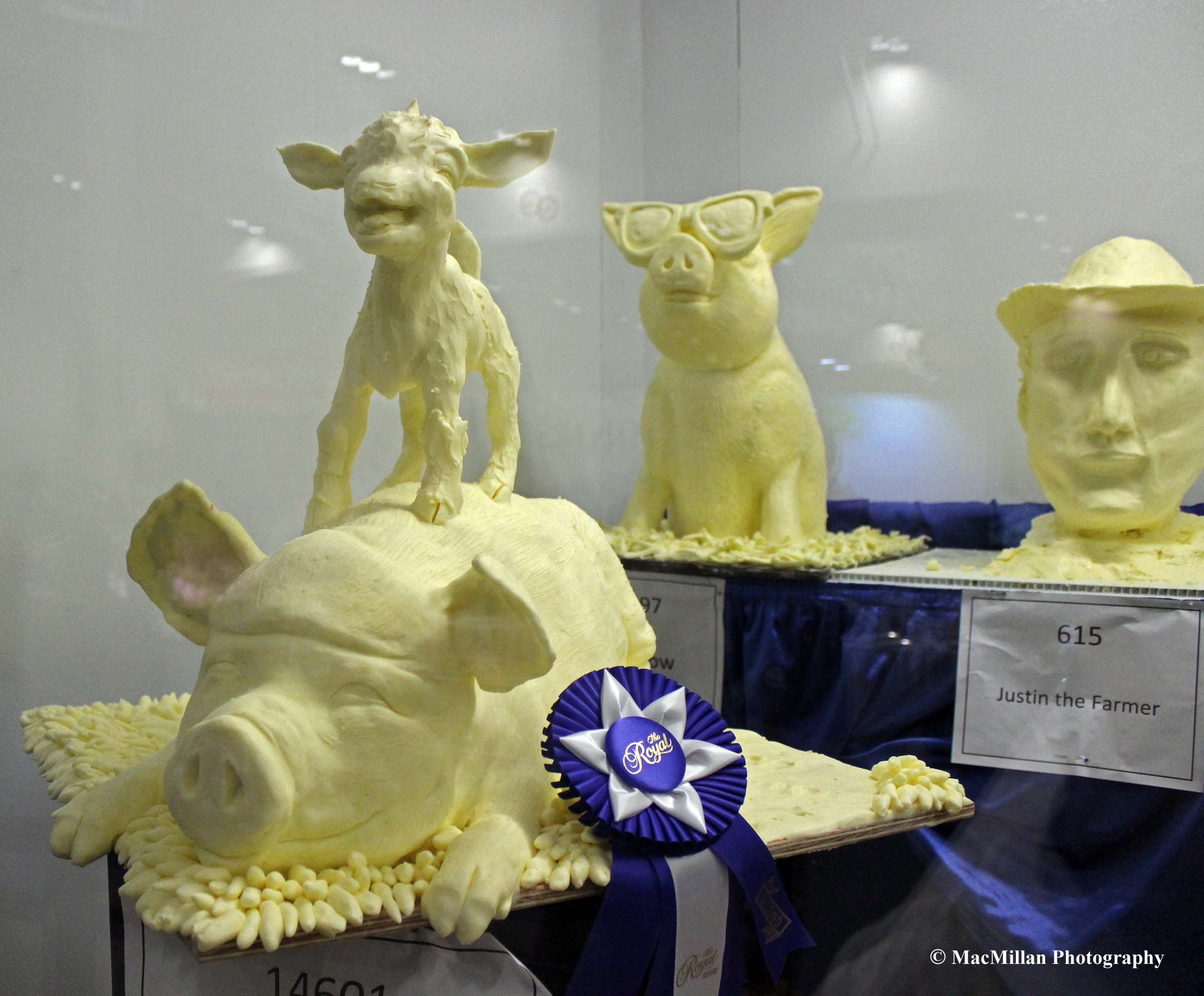 Photo 36 - The Royal butter sculpture competition is very popular with spectators. This year’s second-place entry (in Canada a blue ribbon is second place) was called “Totes-Ma-Goats” by Vincenzina Care. Photo by Shelley Higgins/MacMillan Photography