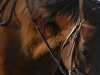 fran-riding-7-11-12-040