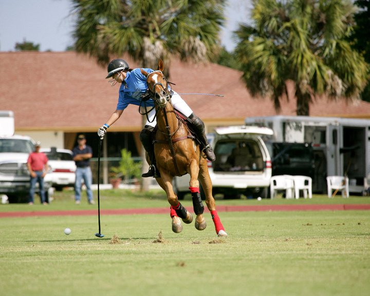 2307 mufasa 2 lauren mufa gillian