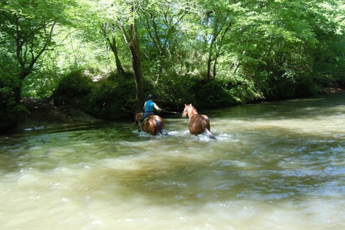 2309 side shots 2crossing the etowah resample