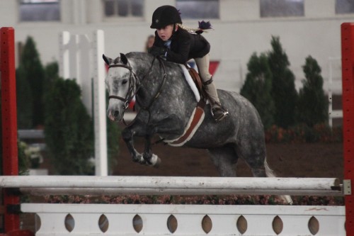 2311 jr blues 1 Kate Taylor and QuicksilverButterfly
