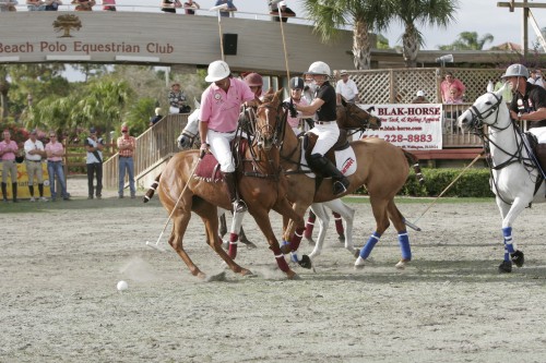 2402 tet history polo 4