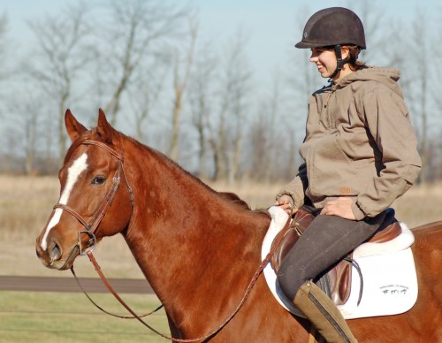 2403 New Vocations TB 5