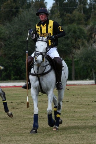 2404 julio gracida