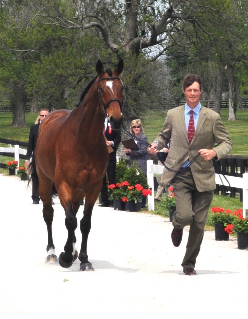 William Fox-Pitt and Parklane Hawk jog for the ground jury during the first vet inspection at the 2012 Rolex Three-Day Event. Photo by Lauren R. Giannini