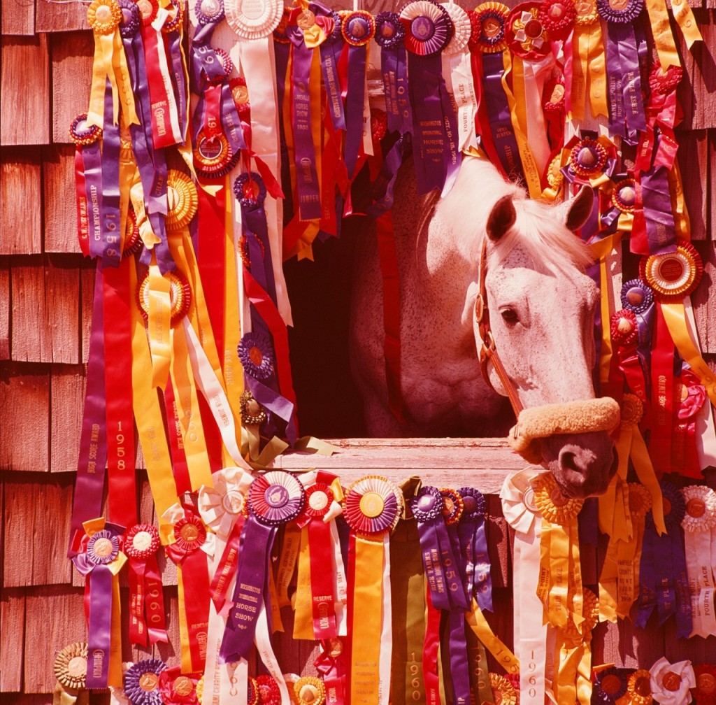Snowman’s rags-to-riches story captured the nation’s attention. Photo by  Bill Ray Photography 