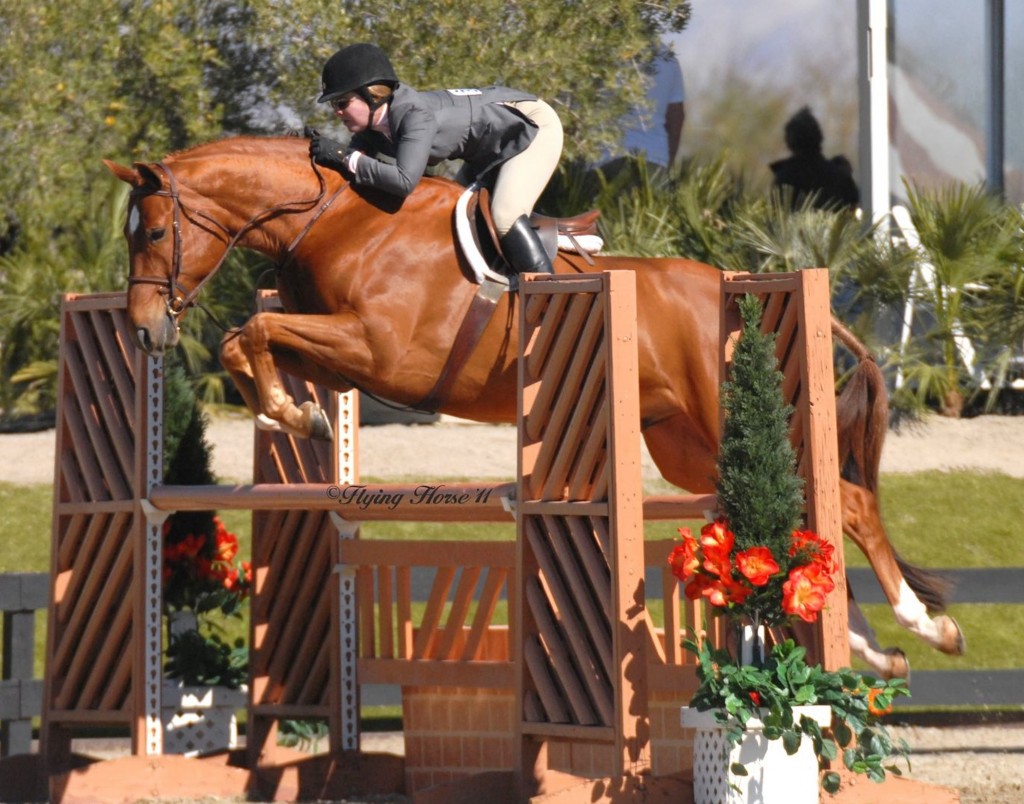 Devon and Cliveden, owned by Georgia Claessens, showing in Regular Conformation Hunters over fences in 2011 at HITS Thermal. Photo by Flying Horse Photography LTD 2011