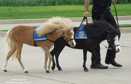 Harriet and Magic arrive in Moore, Oklahoma to help the children who survived the May tornado that destroyed their schools.