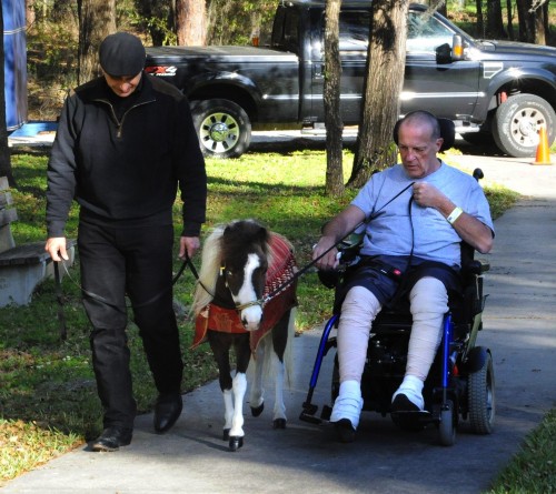 John LeCain, a pastor from New York, is learning to operate an electric wheelchair while therapy horse Wakanda practices adjusting her speed to walk with him at the University of Florida Health Rehab Hospital (formerly Shands Rehab Hospital) in Gainesville, Florida.