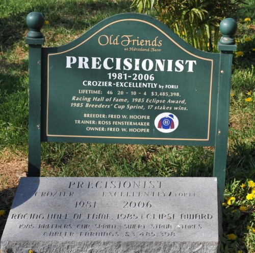 Precisionist – a favorite at Old Friends, gone but not forgotten. Photo by Lauren R Giannini 