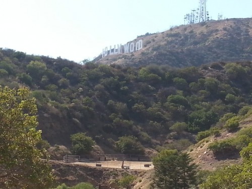 There's a horse arena underneath the Hollywood sign?! Who knew?