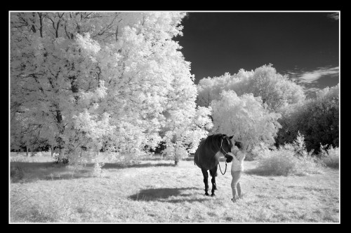Infrared photography 