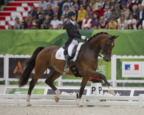 Laura and Verdades competing in the 2014 World Equestrian Games in Normandy, France. Photo by Allen MacMillan