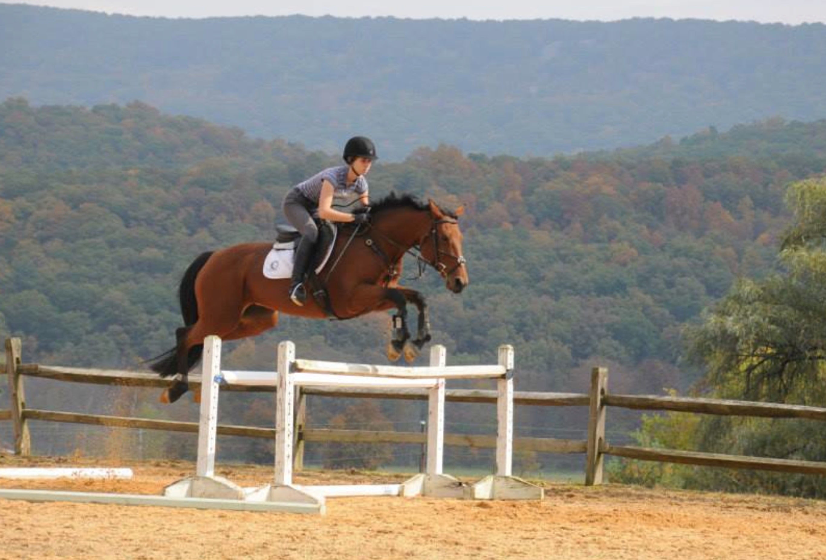 Gillian and her horse Punky sail over a jump. (Photo courtesy of Sue Cavanaugh)