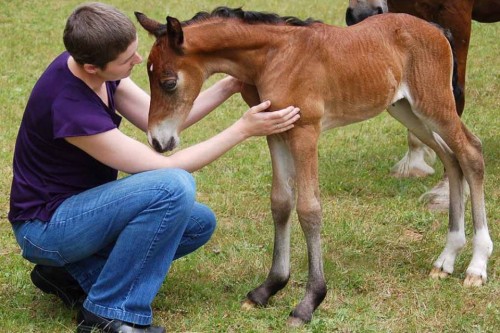 When Alanna met Emi at three days old, the filly greeted her with a whinny.When Alanna met Emi at three days old, the filly greeted her with a whinny.