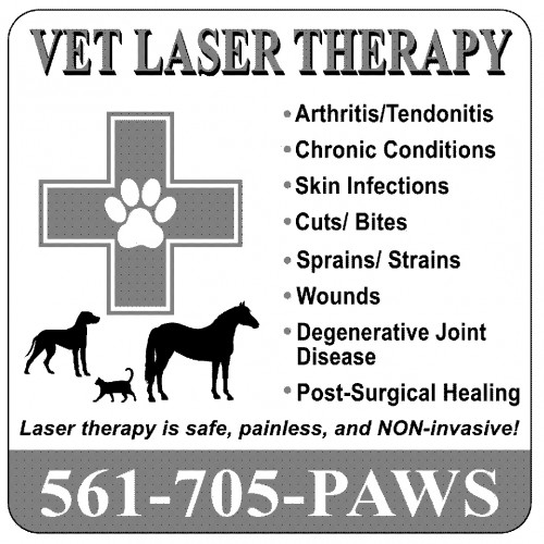 VetLaserTherapy(3)