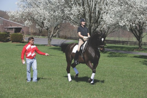Gene working with his Grand Prix horse under German Dressage trainer Felicitas von Neuman-Cosel. Photo by Natalia Kostikova