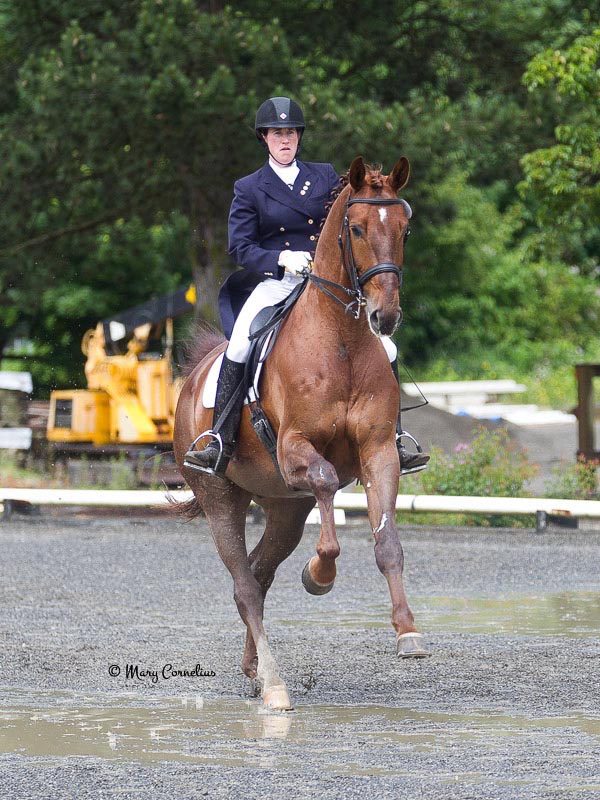 Alyssa and Furst Fiorano, a Westfalen gelding by Furst Piccolo x Donnerbube I. He was ranked #10 in USDF rankings in 2014. Photo by Mary Cornelius