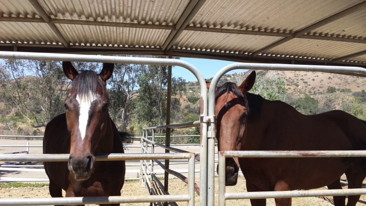 Pipe Corral: What’s not to love about the size, view and proximity to one’s neighbor? Photo by Susan Friedland-Smith