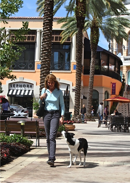 Marti and Lark walking in City Place in West Palm Beach, Florida, working on their Canine Good Citizen.