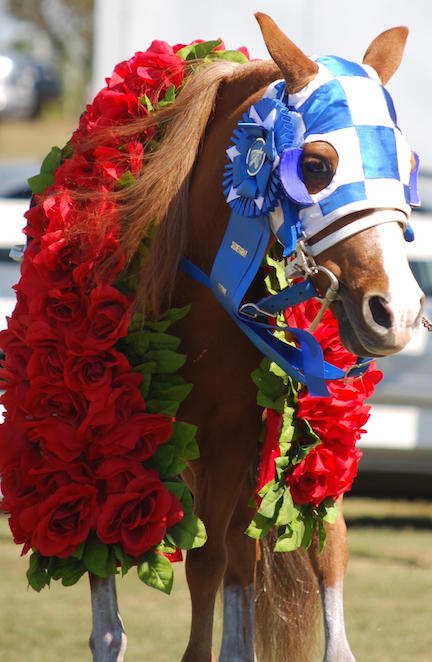Patrick, dressed as the famous racehorse Secretariat, is the official mascot of the Secretariat Festival.