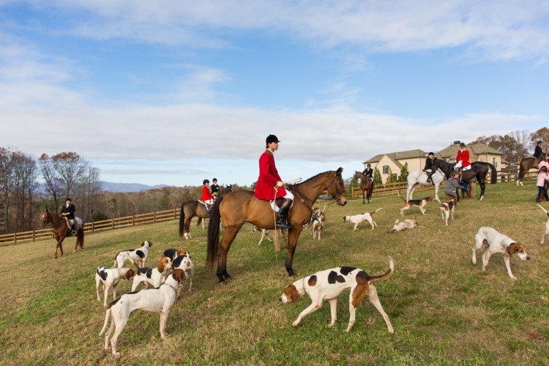Trey Bennet, huntsman of the Tryon Hounds Photo by Don West Photography 