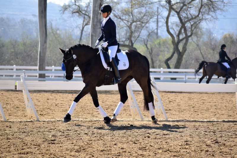 Shannon and Disco Inferno, an 8-year-old by Westpoint owned by Shannon and Steffen Photo courtesy of Shannon Peters