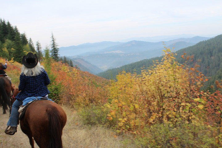 Scenic rides