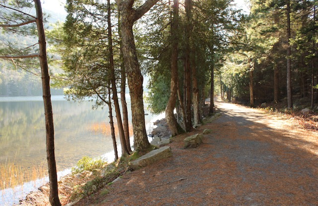 Bubble Pond carriage road. Photo by Friends of Acadia