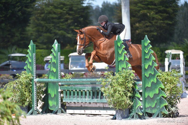 Becky and Touchdown in the 3'3" AO hunters at WEF Photo by The Book LLC