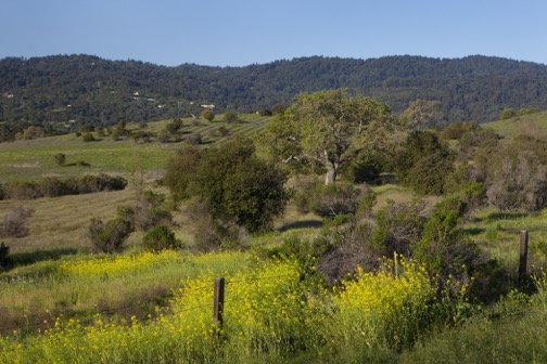 The beautiful Menlo countryside. Photo by Alden Corrigan Media