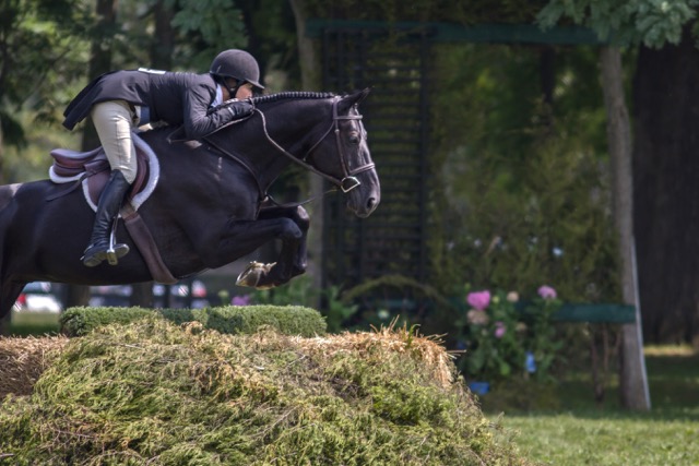 Carl Weeden and Poetry in the USHJA National Hunter Derby. The 2015 Chicago Hunter Derby took place at Carl and Rush Weeden’s Annali-Brookwood Farm. Photo by Aullmyn Photography