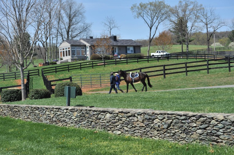 Riders lead a horse past head trainer Skyeler Voss’ house.