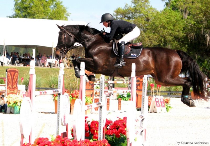 Haley Gassel: Show Jumping, Bodybuilding and a Passion for Excellence ...