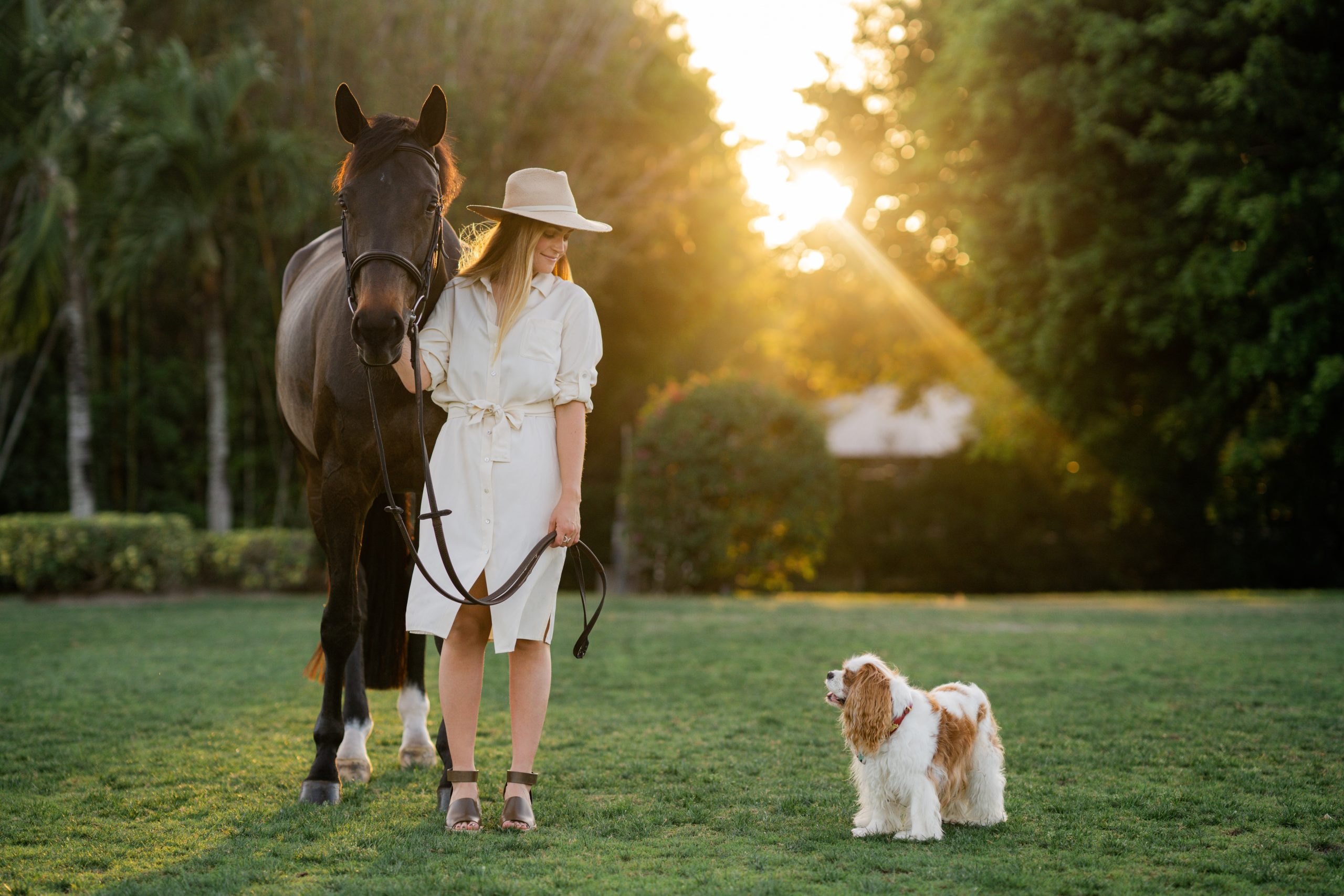 Chloe Reid: Horses From Racing to Driving and Jumping - Sidelines Magazine