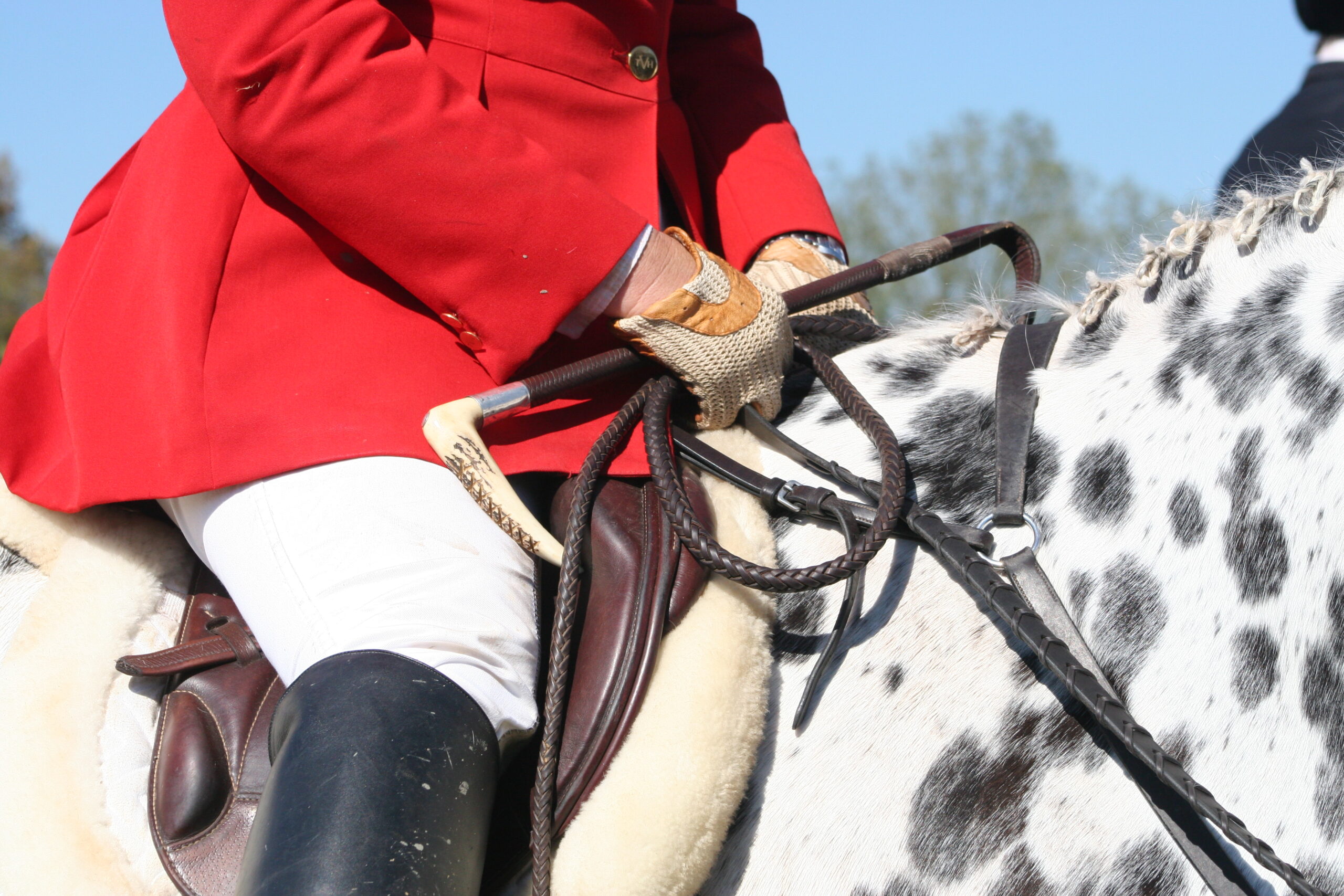 Carla Hawkinson, MFH on her hard to spot mare Photo by Gretchen Pelham, MFH 