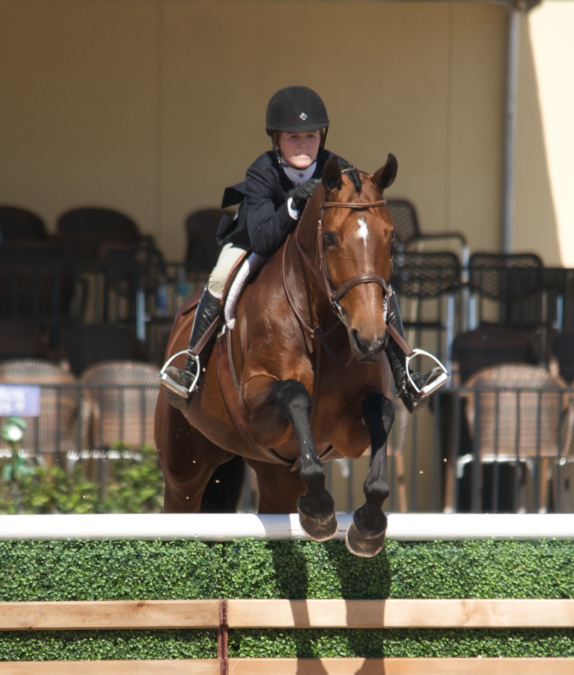 2401 on course schaefer_wef