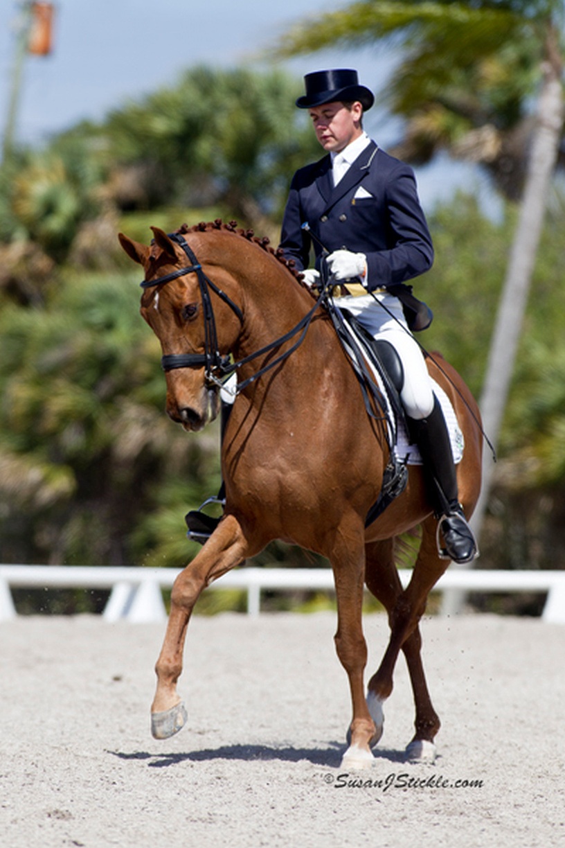 2402 five q dressage endelots