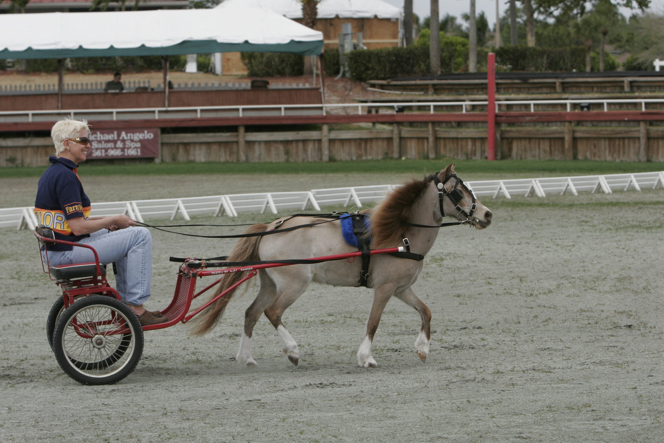 2402 tet history 1 sam driving pony