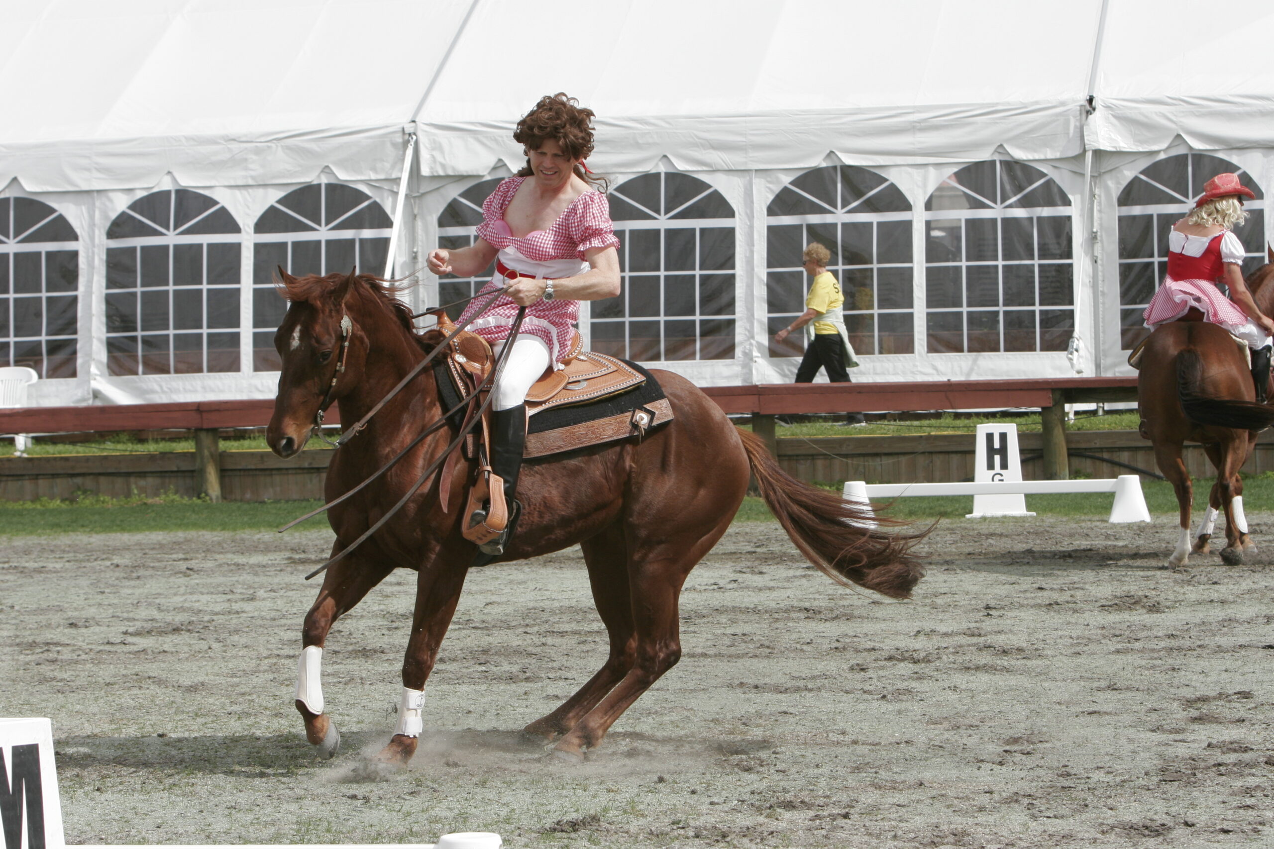2402 tet history 5 reining