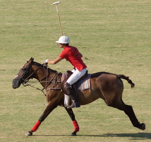 Alex and Lucky, Scott Lancaster's horse, at the St. Louis Polo Club. Photo by Bob Ebel