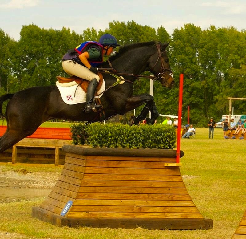 Barb bred, raised and has trained her horse Eveready all the way to the four-star level. (Photo courtesy of Barb Crabo)